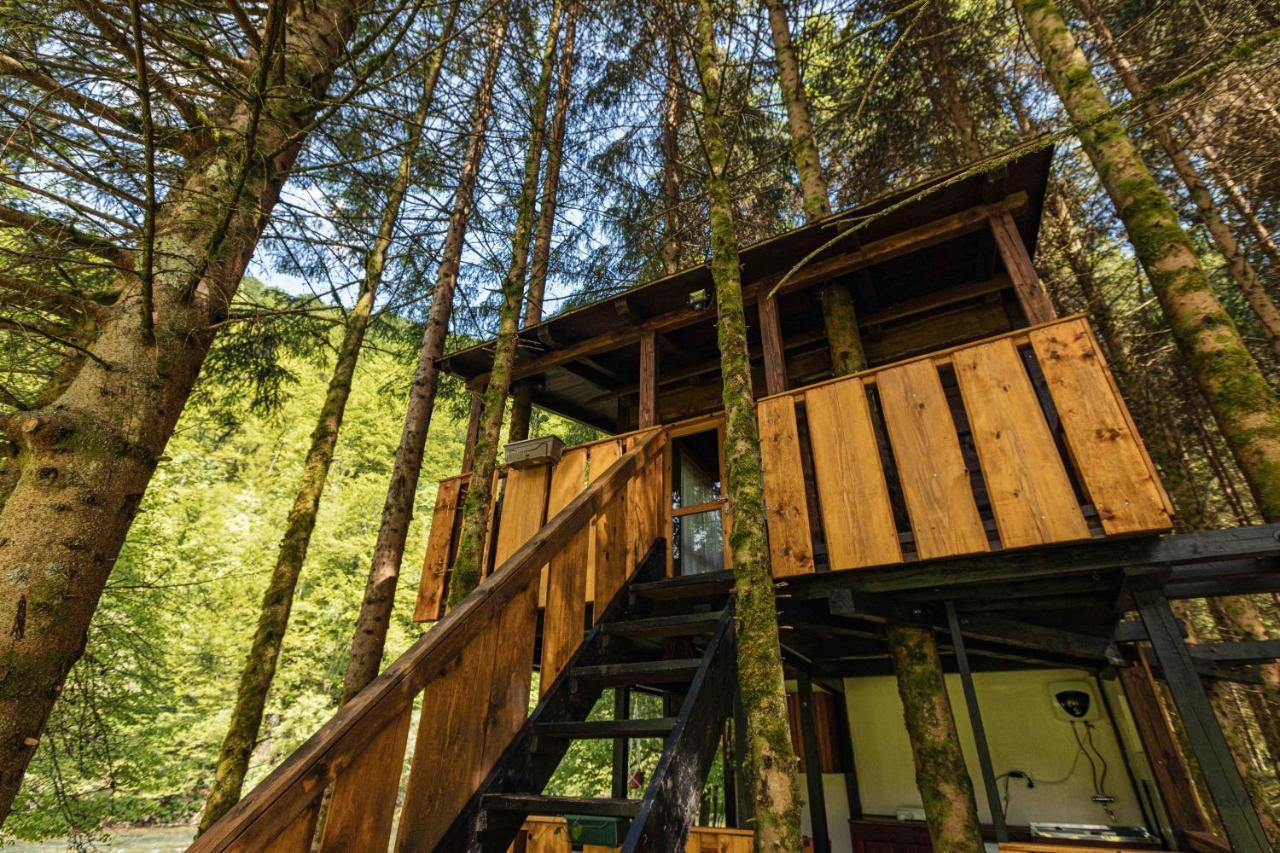 Treehouse Kupari Nacionalni Park Risnjak Cabar Екстер'єр фото