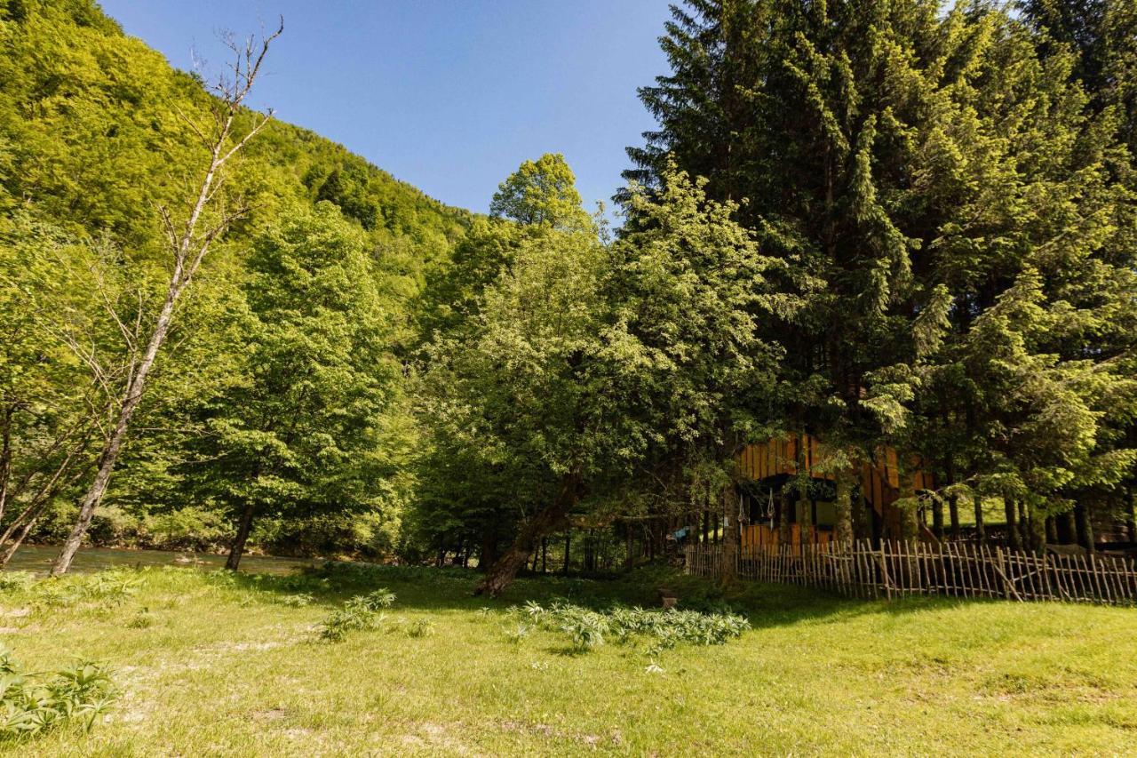 Treehouse Kupari Nacionalni Park Risnjak Cabar Екстер'єр фото
