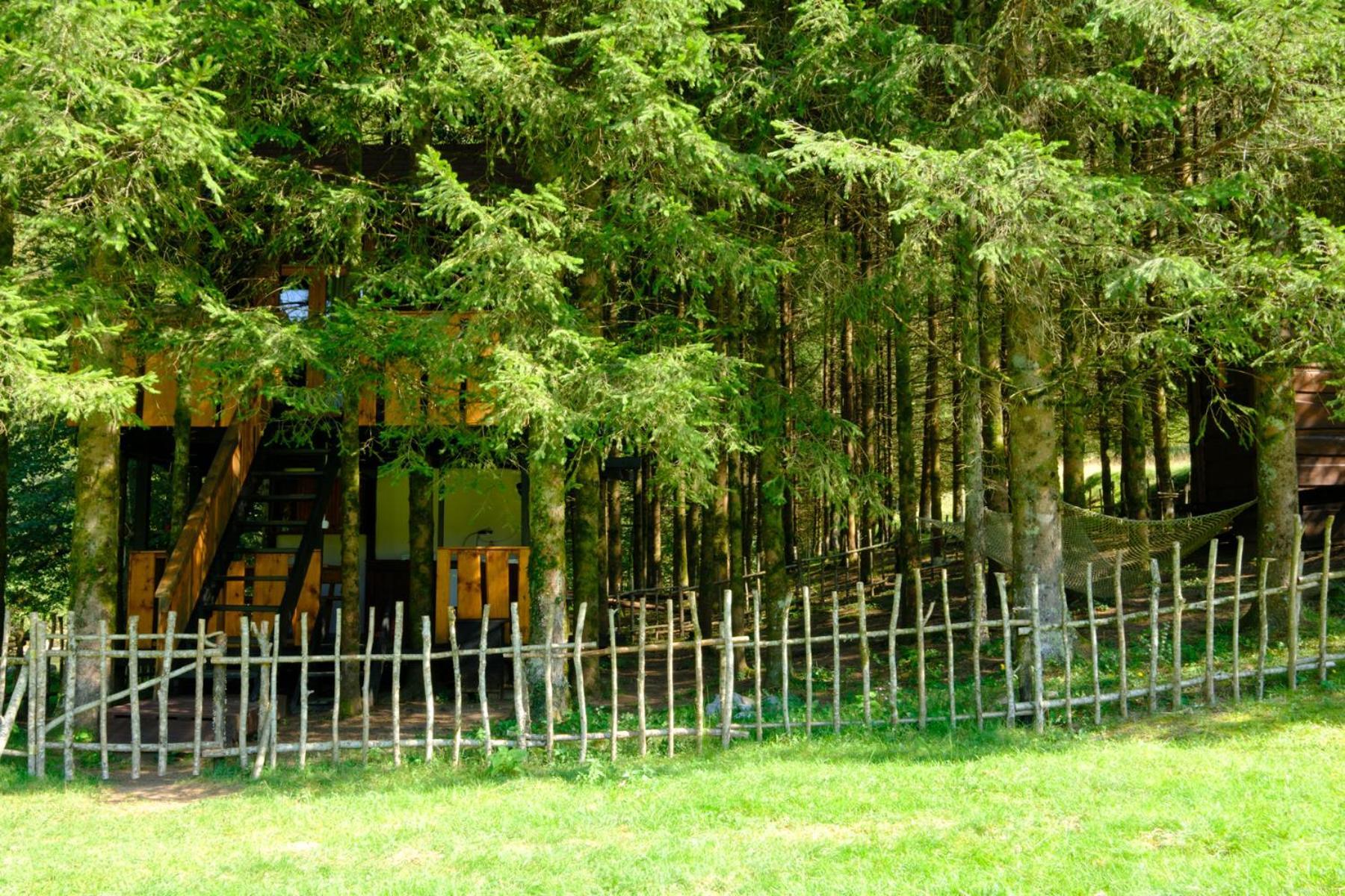 Treehouse Kupari Nacionalni Park Risnjak Cabar Екстер'єр фото