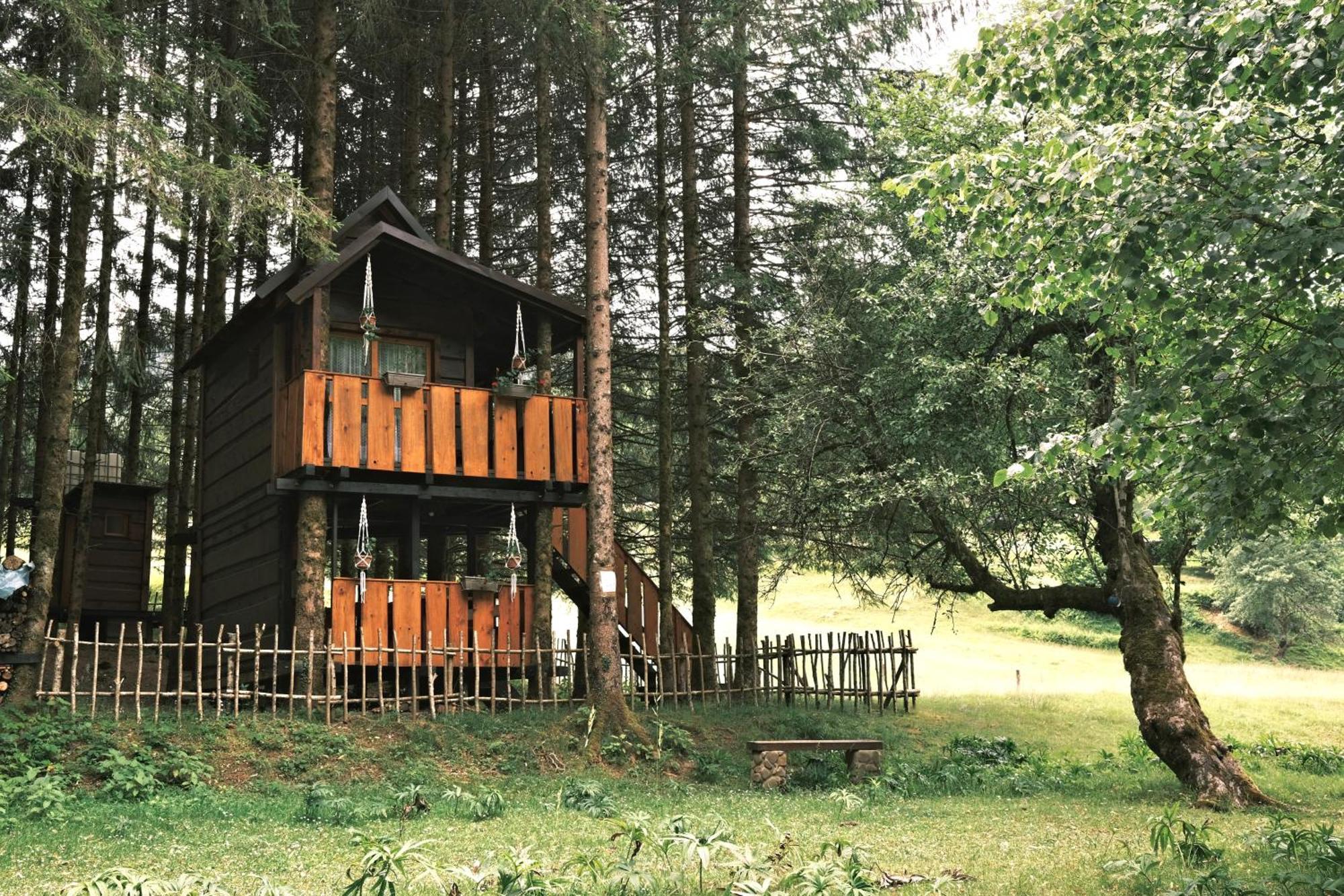 Treehouse Kupari Nacionalni Park Risnjak Cabar Екстер'єр фото